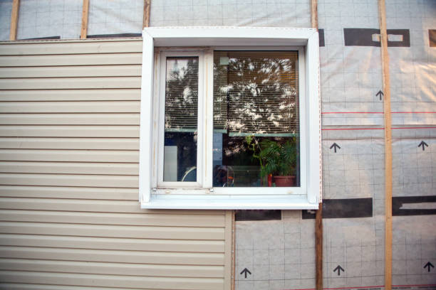 Best Vinyl Siding Installation  in Burnham, PA