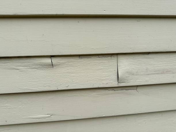 Best Siding Repair  in Burnham, PA